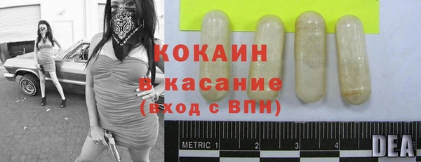 a pvp Богданович