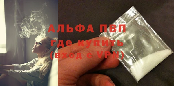 СК Богородск