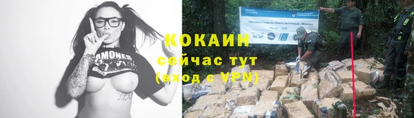 ECSTASY Богородицк
