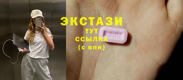 ECSTASY Богородицк