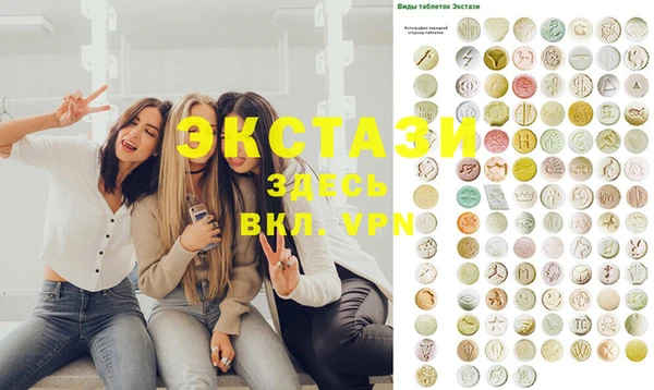 ECSTASY Богородицк