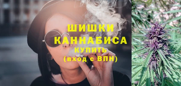 ECSTASY Богородицк