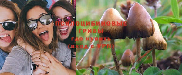 a pvp Богданович