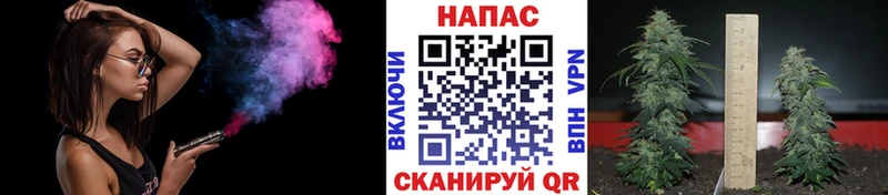 закладка  Верхний Уфалей  Бошки марихуана планчик 